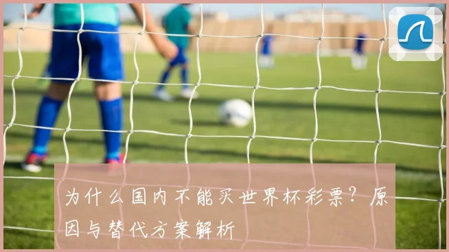 为什么国内不能买世界杯彩票?原因与替代方案解析