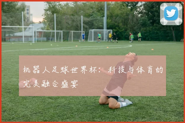 机器人足球世界杯：科技与体育的完美融合盛宴