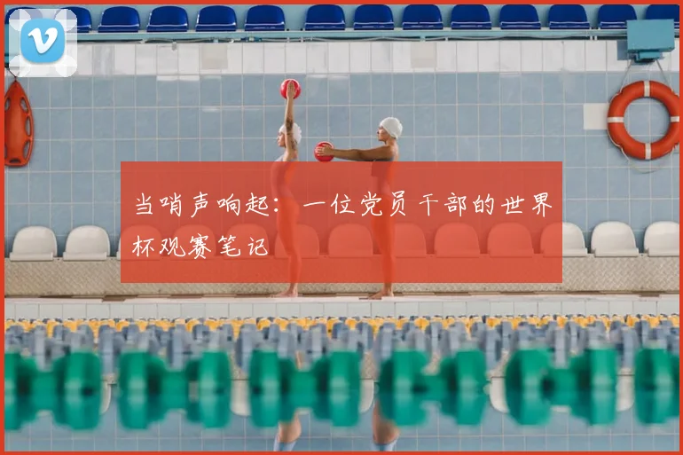 当哨声响起：一位党员干部的世界杯观赛笔记