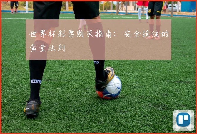 世界杯彩票购买指南：安全投注的黄金法则