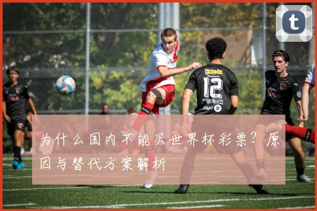 为什么国内不能买世界杯彩票?原因与替代方案解析