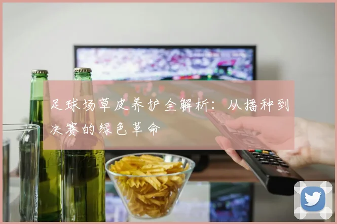 足球场草皮养护全解析：从播种到决赛的绿色革命