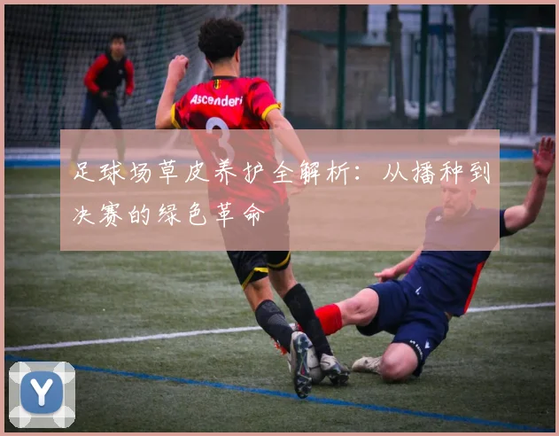 足球场草皮养护全解析：从播种到决赛的绿色革命