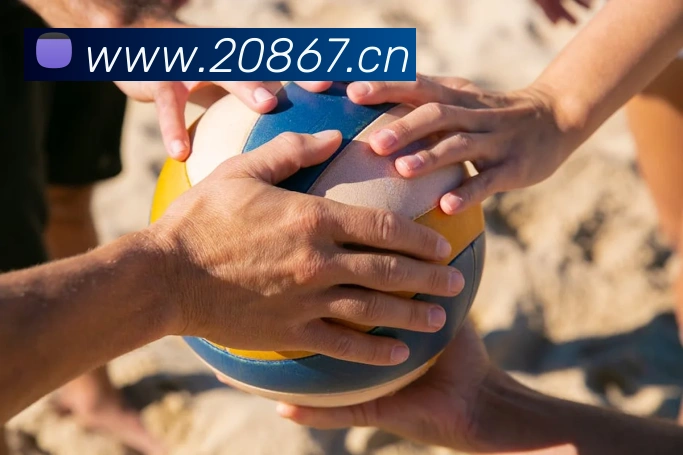 mk体育在线官网首页平台生态图